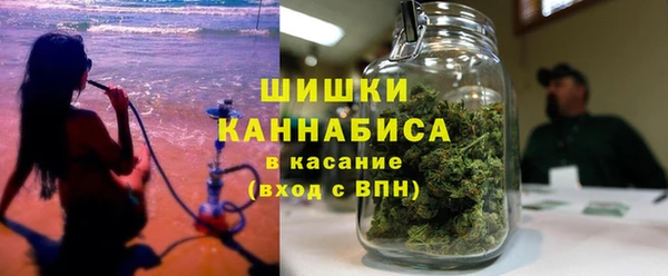 прущие крисы Новозыбков