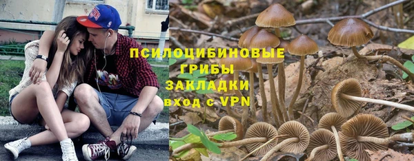 наркотики Новодвинск