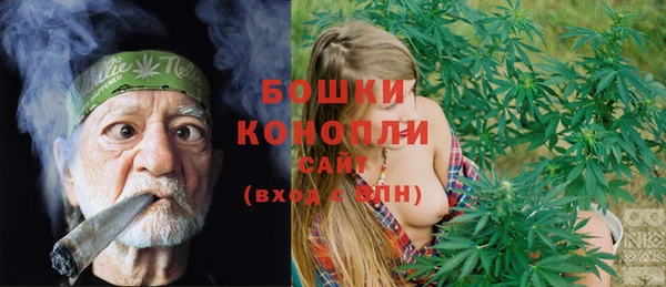 прущие крисы Новозыбков