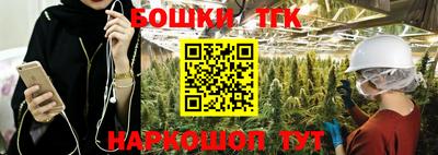 сатива Аргун