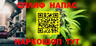 сатива Аргун