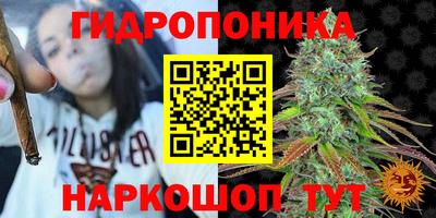 сатива Аргун