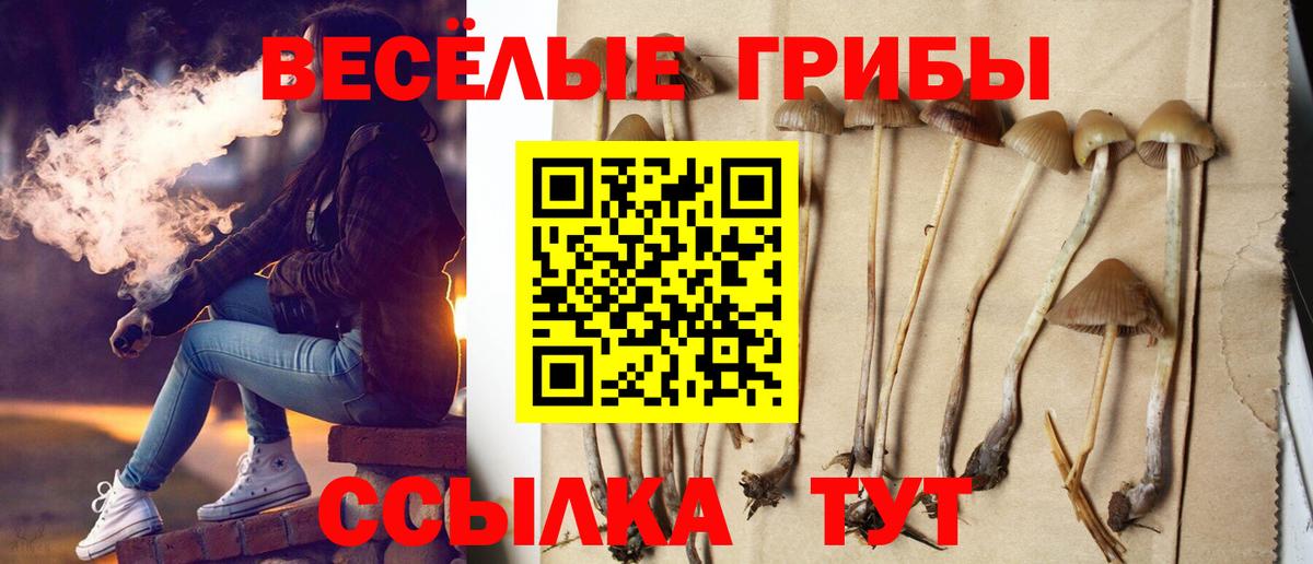 где можно купить наркотик  Галлюциногенные грибы мухоморы  Когалым  Вход с VPN  Галлюциногенные грибы прущие грибы 